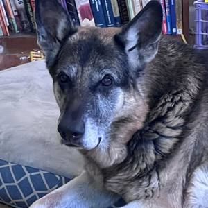 Meet your Posher, Taryn